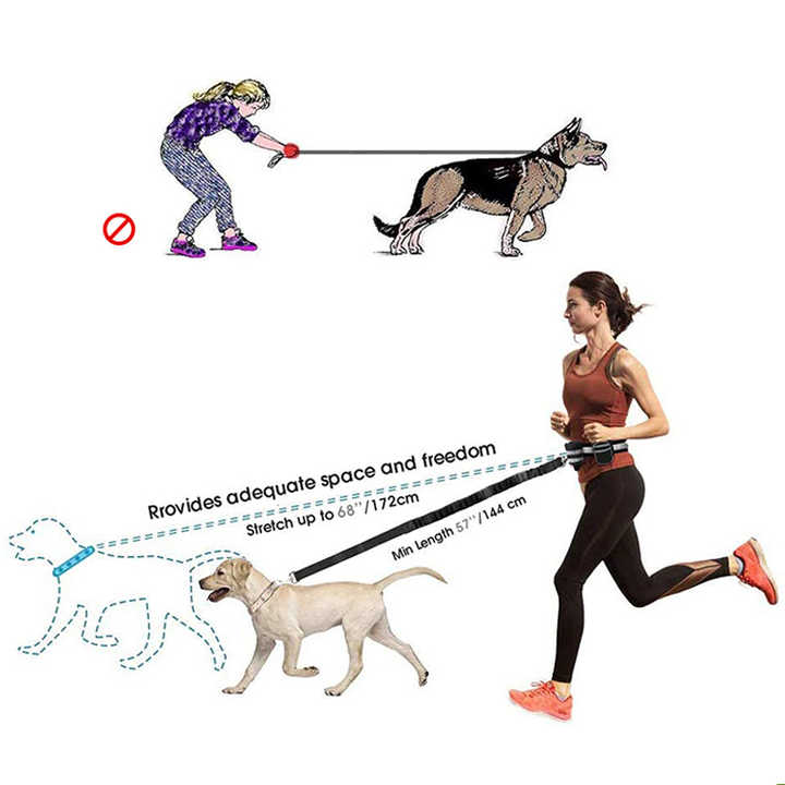 NNEDSZ Grey Reflective Pet Waist Bag with Hands-Free Leash for Night Safety - Adjustable Waist Pack with Detachable Pouches