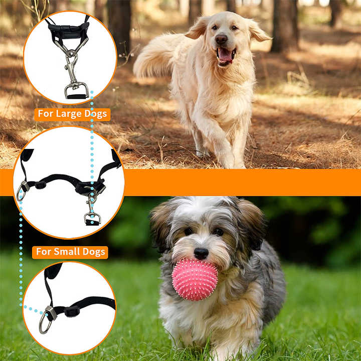 NNEDSZ Grey Reflective Pet Waist Bag with Hands-Free Leash for Night Safety - Adjustable Waist Pack with Detachable Pouches